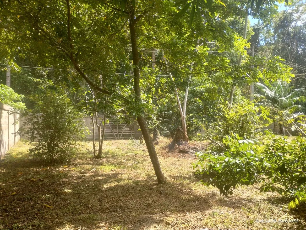 Excelente lote para chácara 20x40 todo murado e com fruteiras - Foto 3