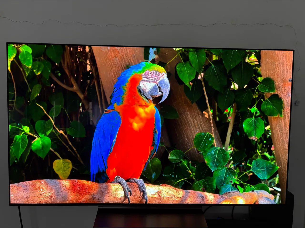 Smart TV LG OLED evo 55" C4 4K OLED, webOS25 - Foto 2