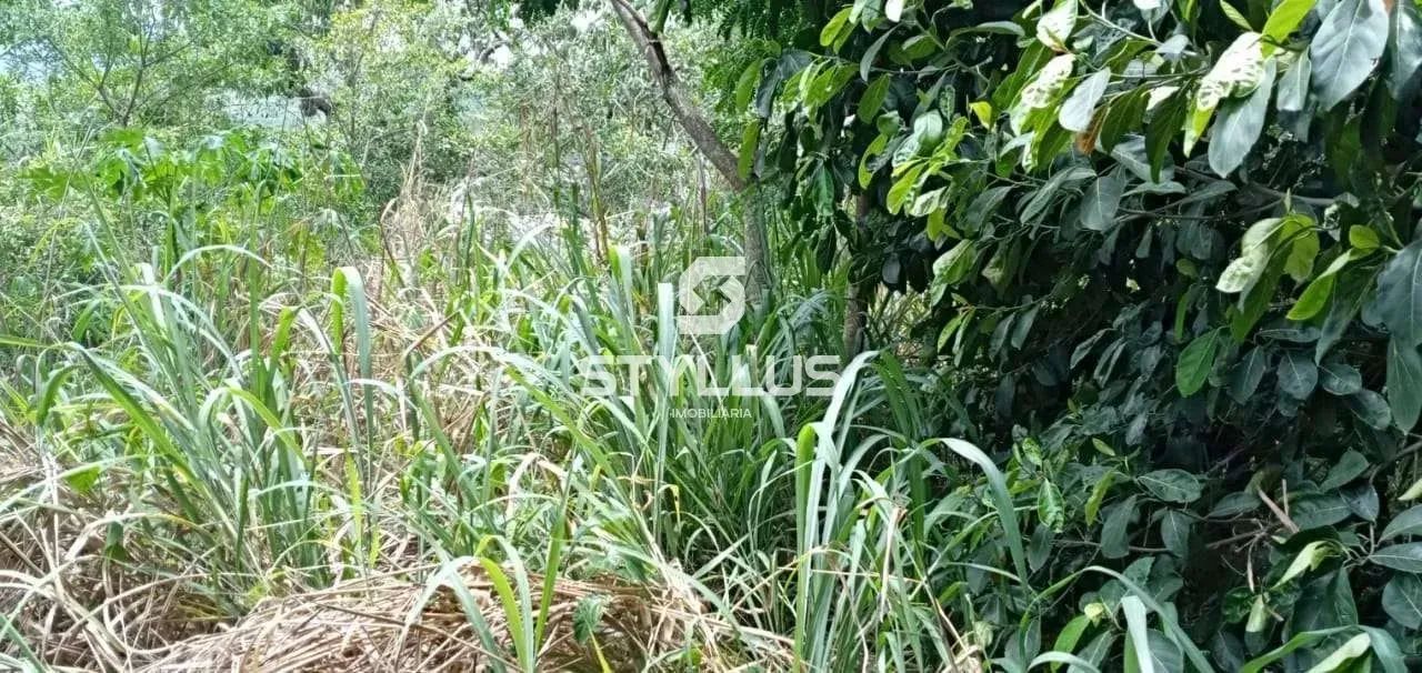 Praça Seca | Terreno - Foto 12