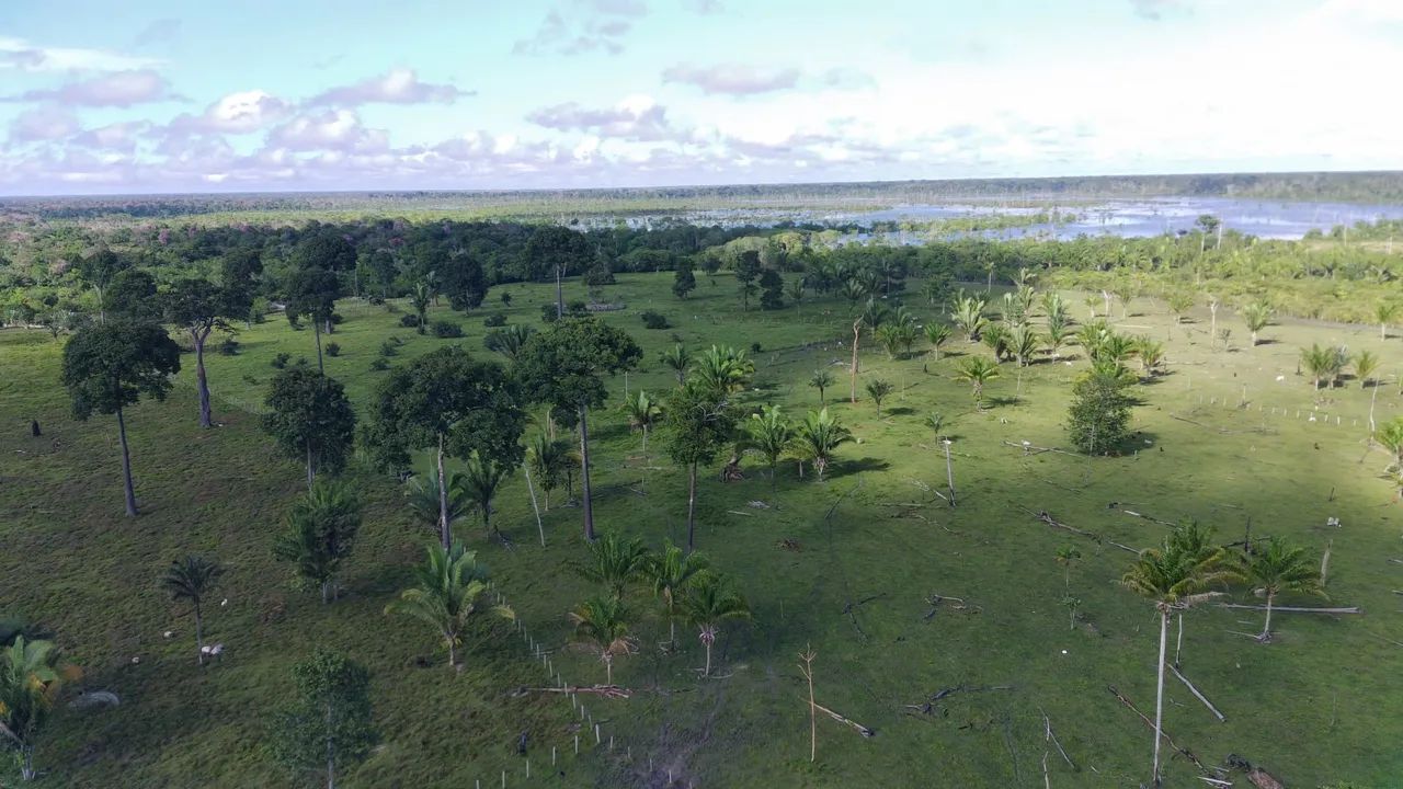Fazenda no Rio Ituxi - Foto 5