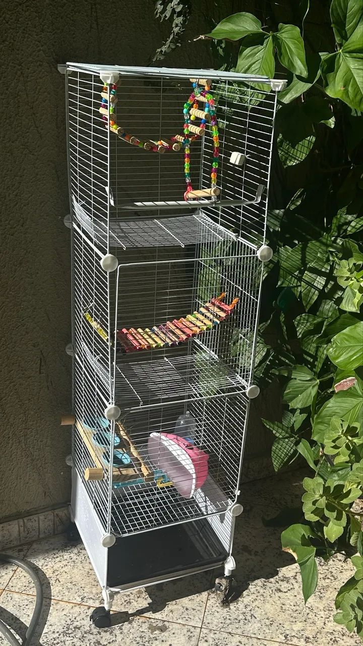 Gaiola de pássaro com acessórios 