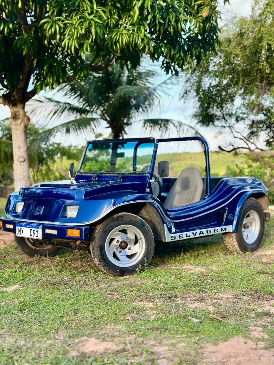 Volkswagen Buggy 1.6 8V Gasolina 2P Manual 1984