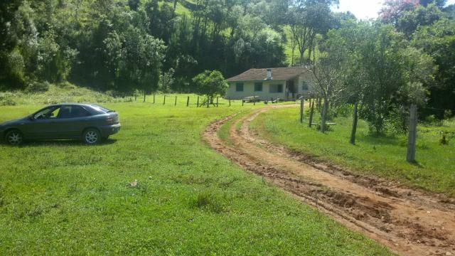 Fazenda pasto formado - Foto 6