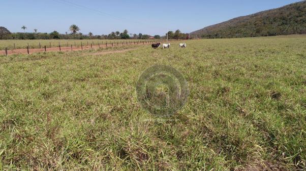 Fazenda para pecuária 185 ha santo antonio leverger - Foto 3
