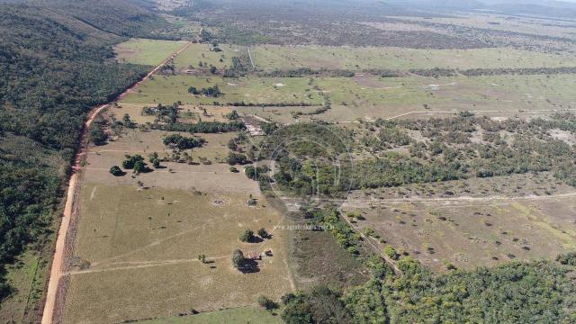 Fazenda para pecuária 650 ha na região santo antonio do leverger - Foto 4