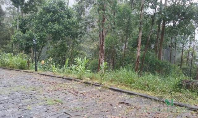 Terreno à venda em Quarteirão ingelhein, Petrópolis cod:1612 - Foto 3