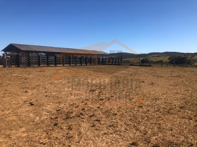 9Fazenda de 2.560 hectares para Venda, em Paranatinga / MT - Foto 16