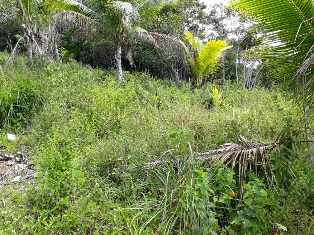 Sítio em Itacaré - Bahia - Foto 11