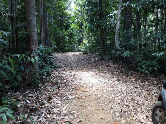 Sítio em Itacaré - Bahia - Foto 3