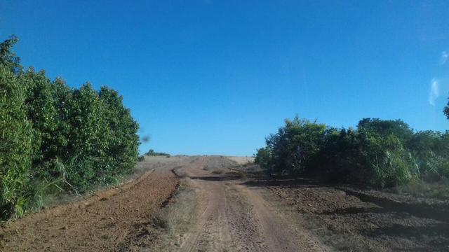Fazenda Tocantins 1.626 ha gado pecuária soja Couto de Magalhães prox. Guaraí Palmas - Foto 3