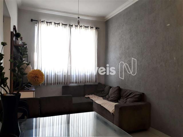 Apartamento à venda com 2 dormitórios em Glória, Belo horizonte cod:753033 - Foto 2