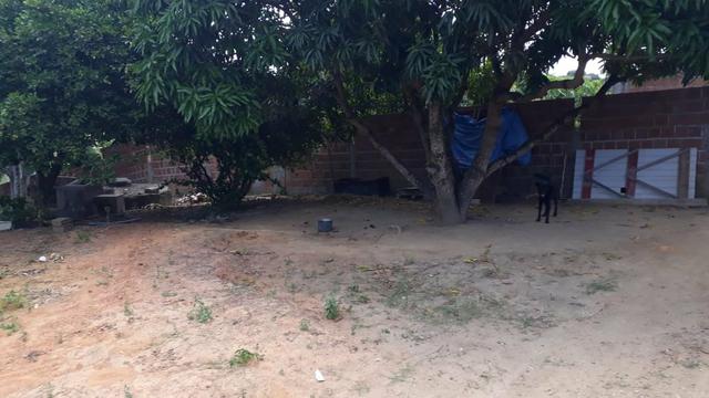 Vende-se um sítio em santa casa mirueira Paulista - Foto 5