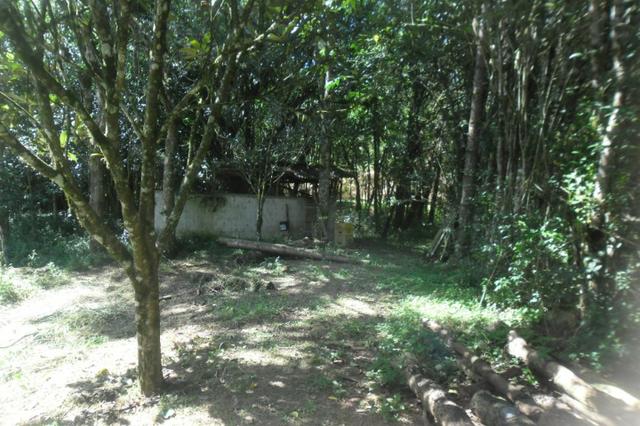 Vende-se chácara em cai de baixo - Quitandinha (cód. A289) - Foto 11