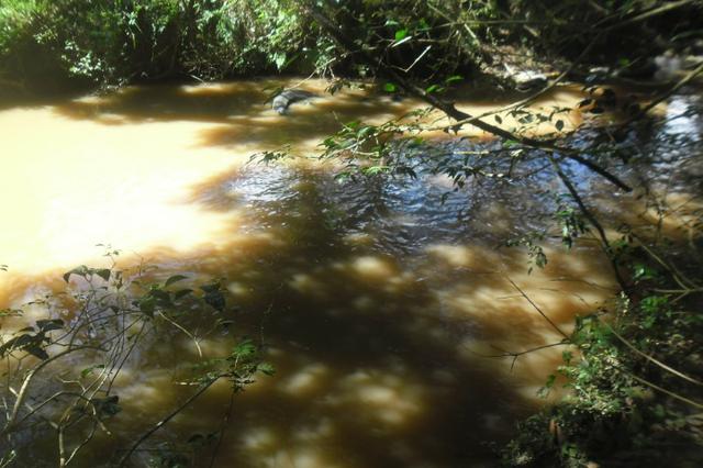 Vende-se chácara em cai de baixo - Quitandinha (cód. A289) - Foto 13