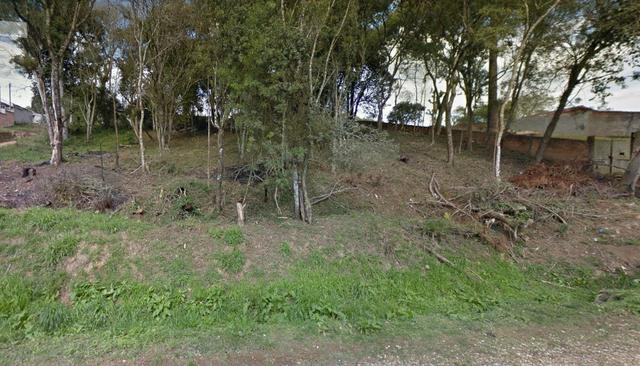 Terrenos no Borda do Campo - São José dos Pinhais - Foto 4