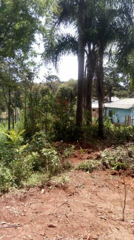 Terreno em Quitandinha vendo troco ou parcelo - Foto 3