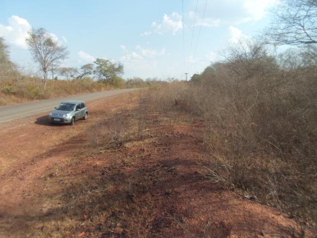 Terreno na BR-PI 214 Luzilândia/Esperantina - Foto 9