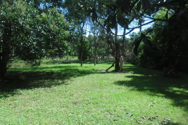 Vende-se chácara em cai de baixo - Quitandinha (cód. A289) - Foto 10