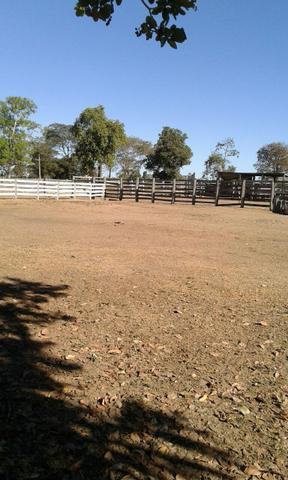 Fazendão em Ribeirão Cascalheira