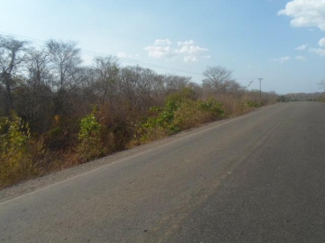 Terreno na BR-PI 214 Luzilândia/Esperantina