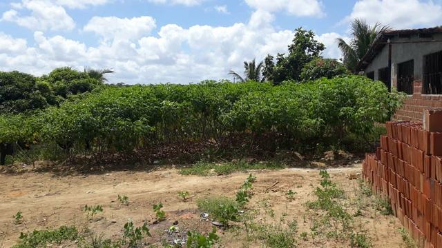 Vende-se um sítio em santa casa mirueira Paulista - Foto 6