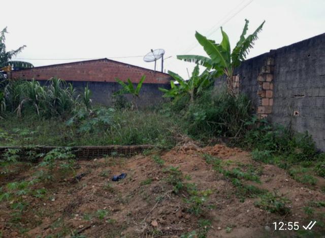 Vendo terreno em Joaquim Nabuco - Foto 4