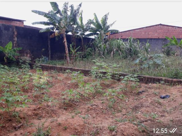 Vendo terreno em Joaquim Nabuco - Foto 2