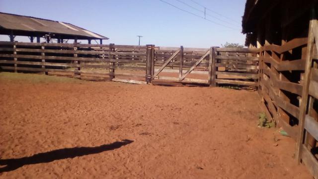 Fazenda Amanbai MS - Foto 11