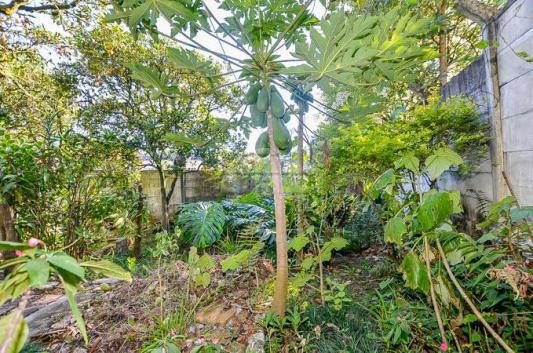 Terreno à venda em Sao lourenco, Curitiba cod:143184 - Foto 20