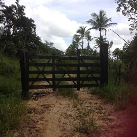 Excelente - Fazenda Espopa