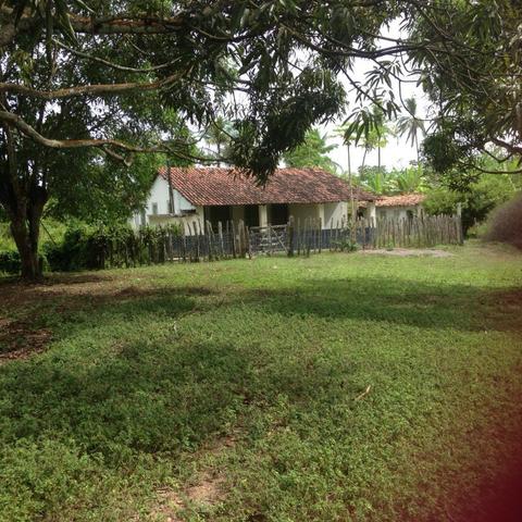 Excelente - Fazenda Espopa - Foto 8
