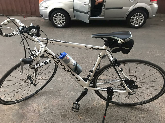 bike speed endorphine