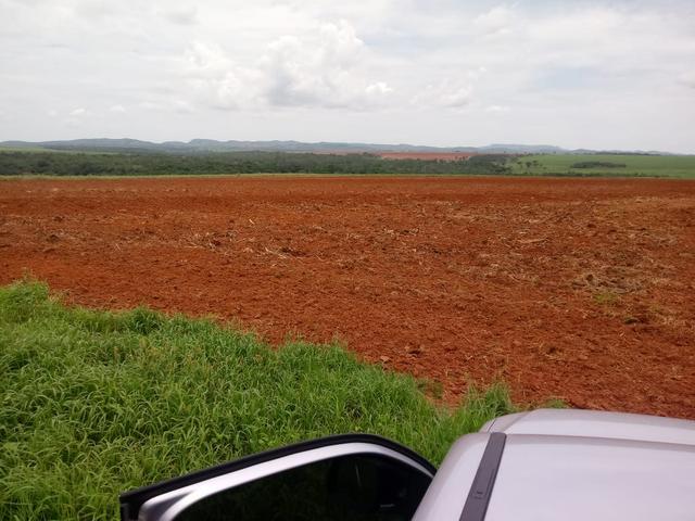Excelente fazenda cultura pura - Foto 12