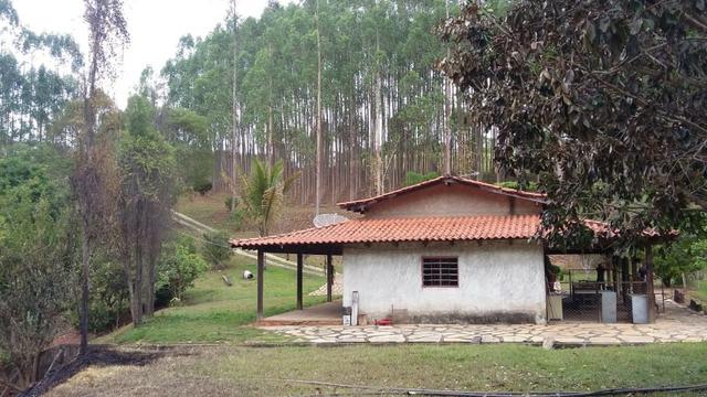 Linda Chacara 11 Alqueires - Proxima a Planalmira - Foto 2