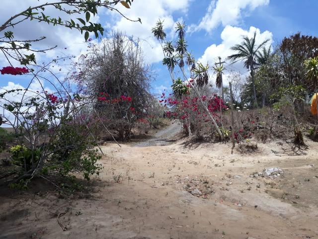 Vende-se um sítio em bom jardim - Foto 15