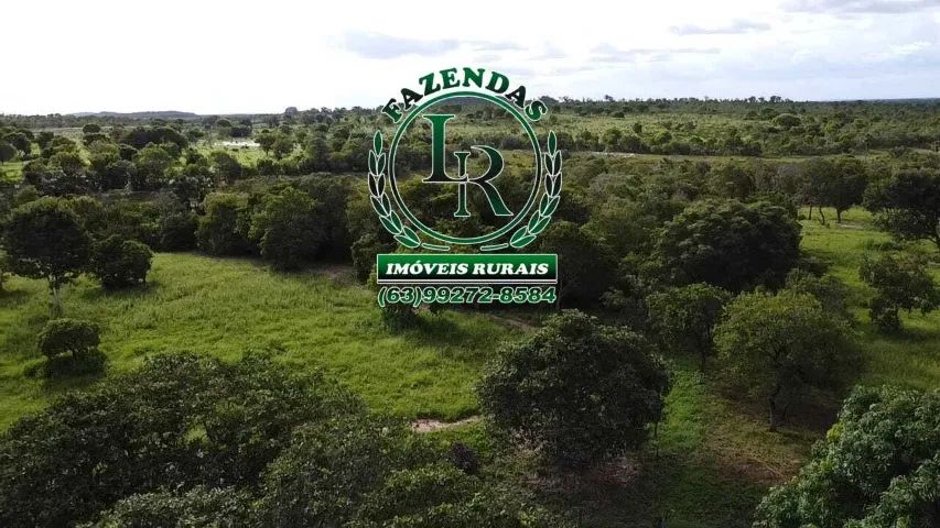 Fazenda Plana100 Alqueires Beira do Asfalto Tocantins - Foto 4