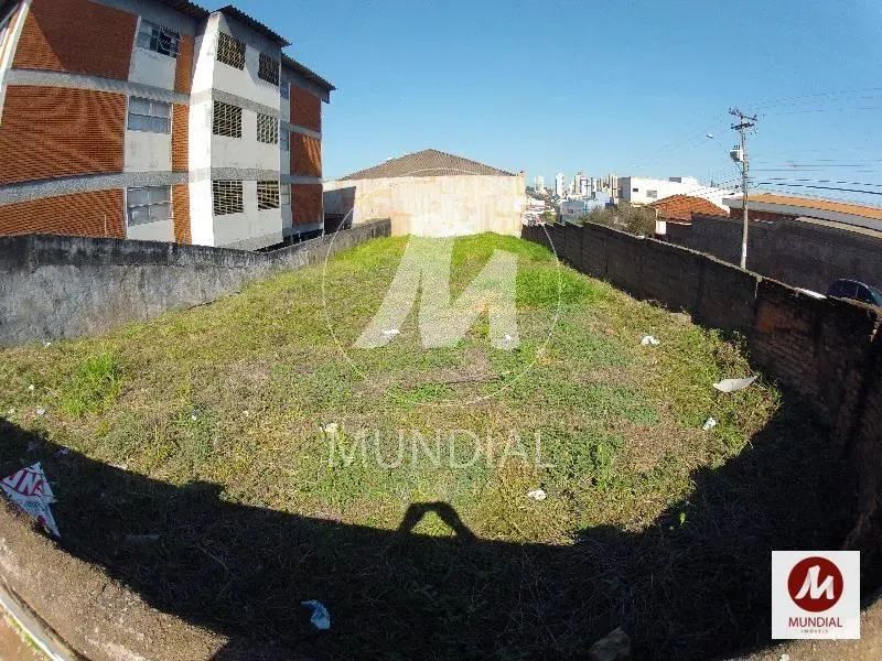 Terreno (terreno normal) - Foto 3