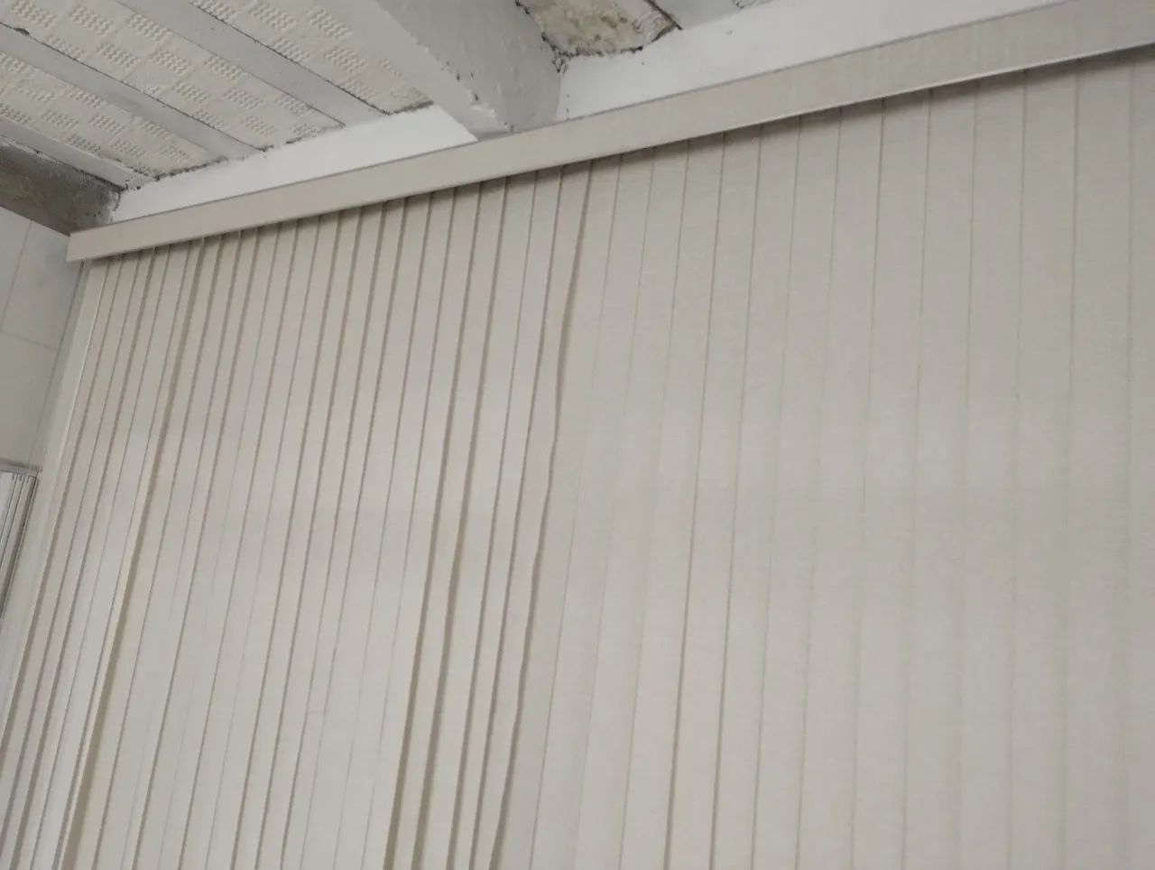 Linda Persiana com Bandô - Foto 2