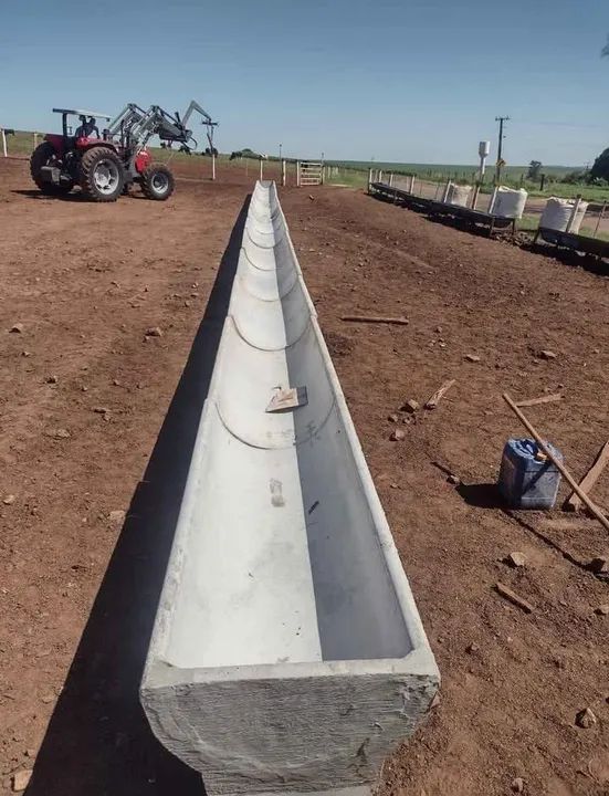 Cochos para confinamento  - Foto 4