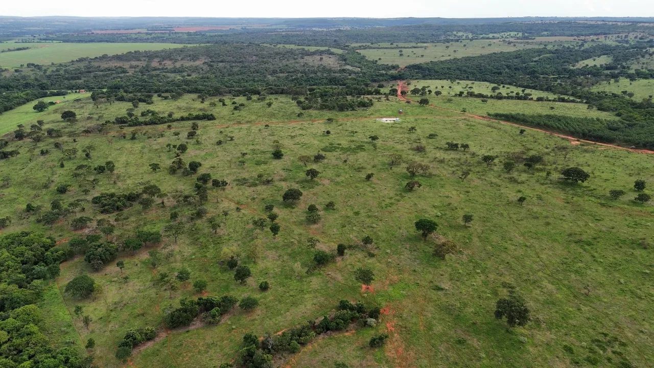 Fazenda dupla aptidão município de ituitaba  - Foto 4