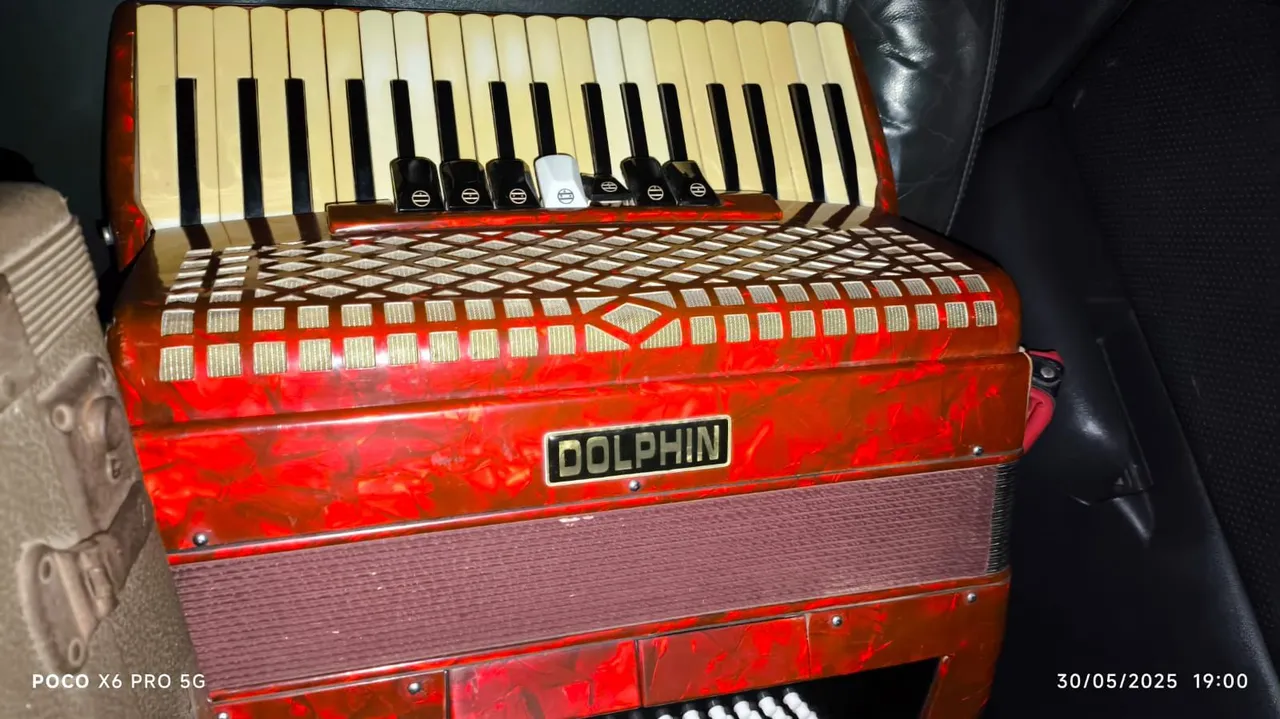 Acordeon Dolphin 80bxs