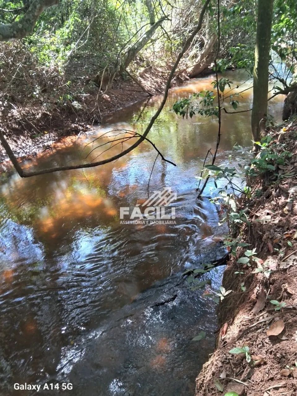 Chácara Beira Rio | 8.500m² | Rancho + Pomar | Aceita Troca - Foto 3