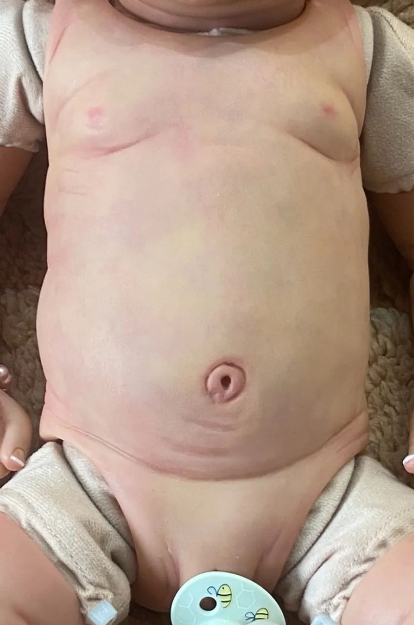 Torso para bebê reborn