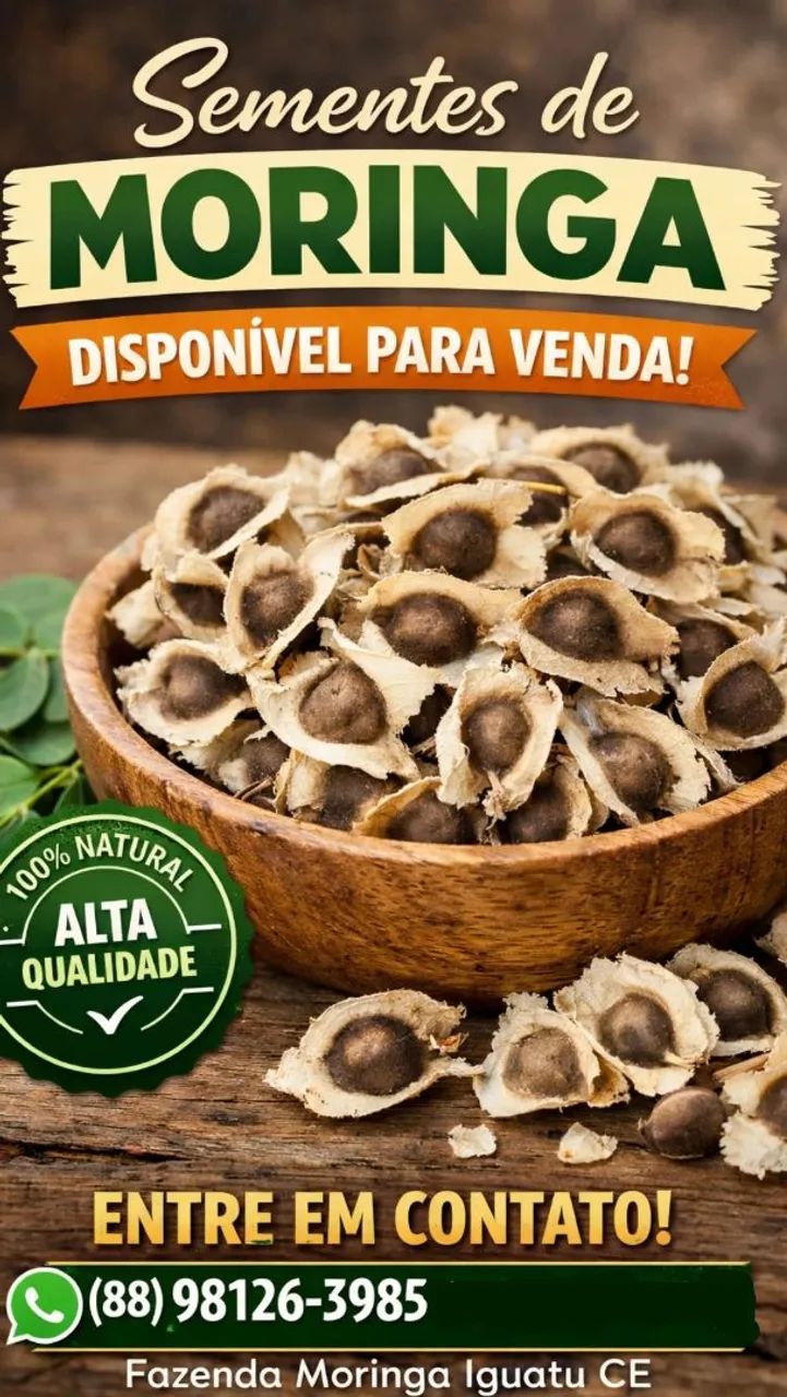 Sementes de Moringa 
