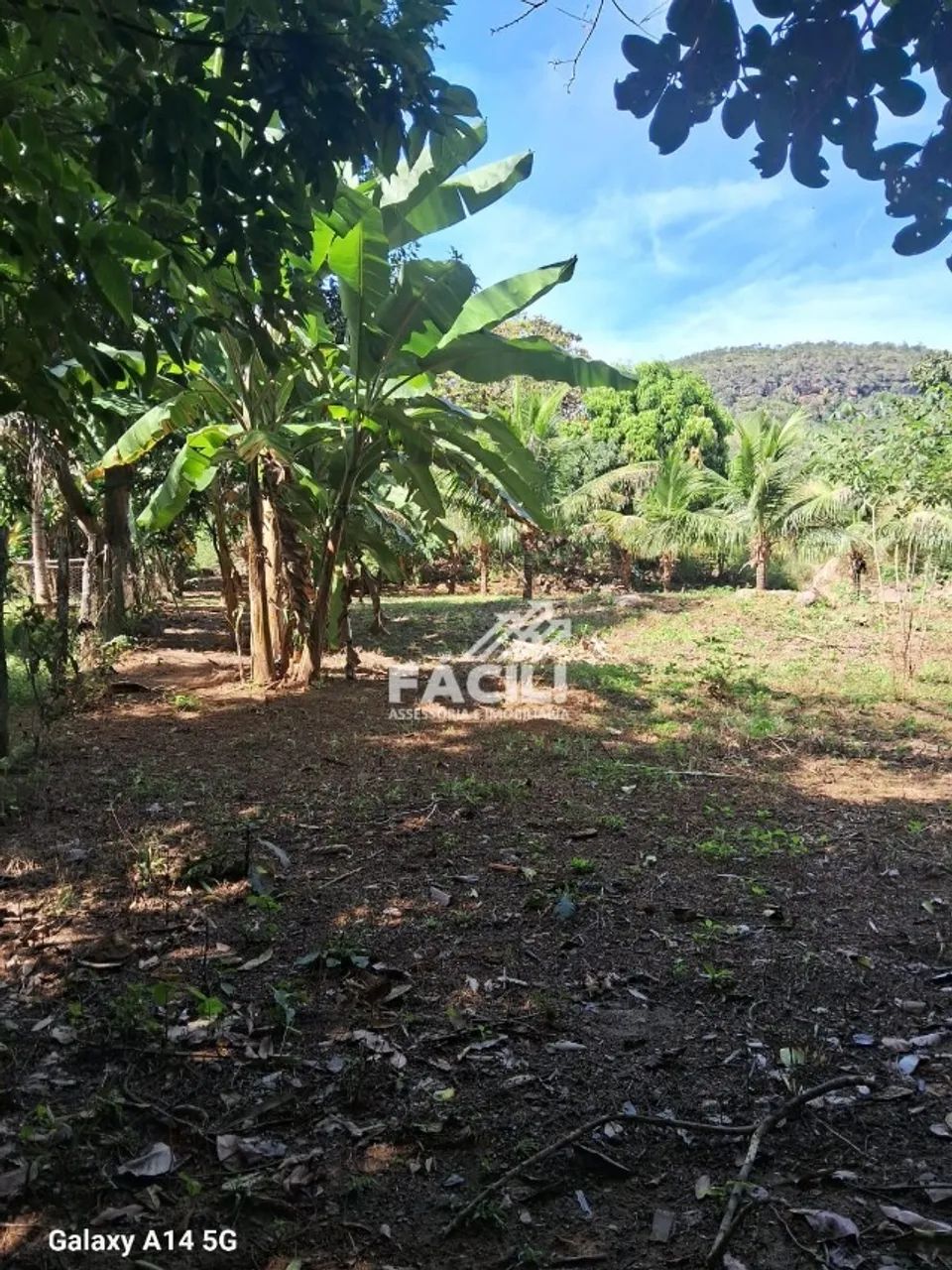 Chácara Beira Rio | 8.500m² | Rancho + Pomar | Aceita Troca - Foto 2
