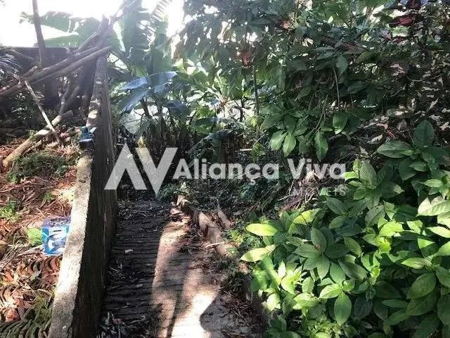 Jardim Botânico | Terreno - Foto 5
