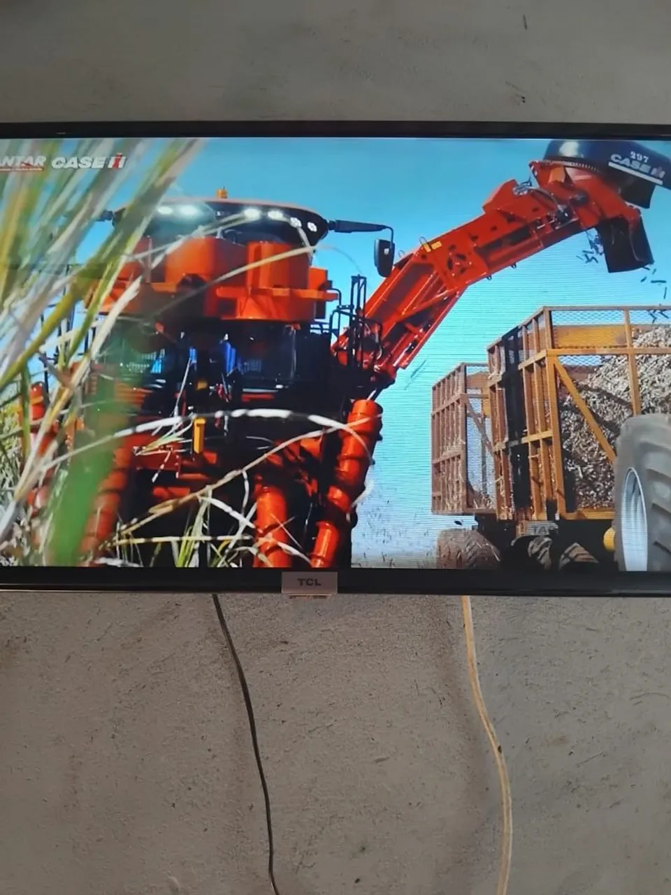 tv TCE 32 polegadas 800