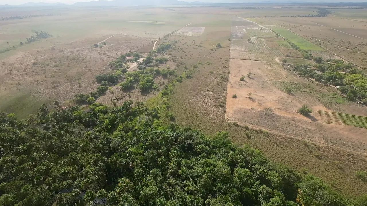 Vende-se sítio sentido mucajai com 17 hectares  - Foto 3