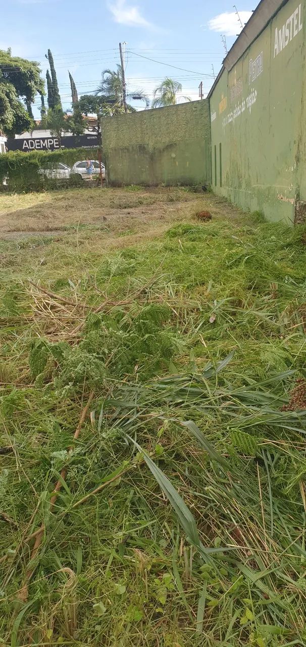 Jardinagem 
