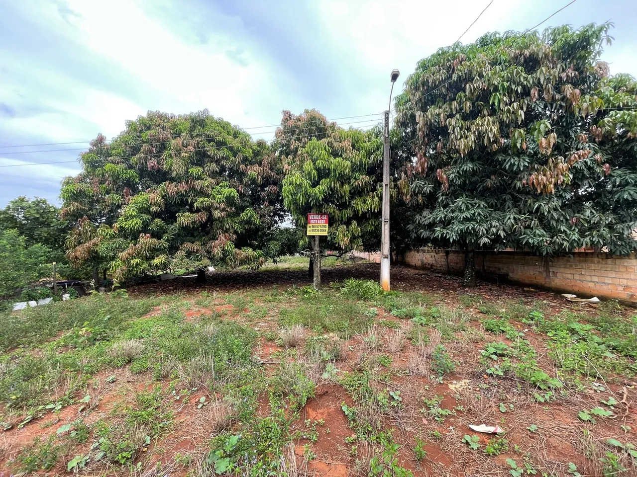 Lote novo Gama
